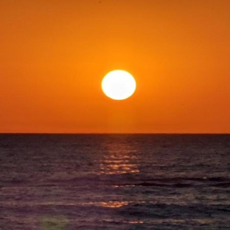 פטן Nieuw Strand מראה חיצוני תמונה
