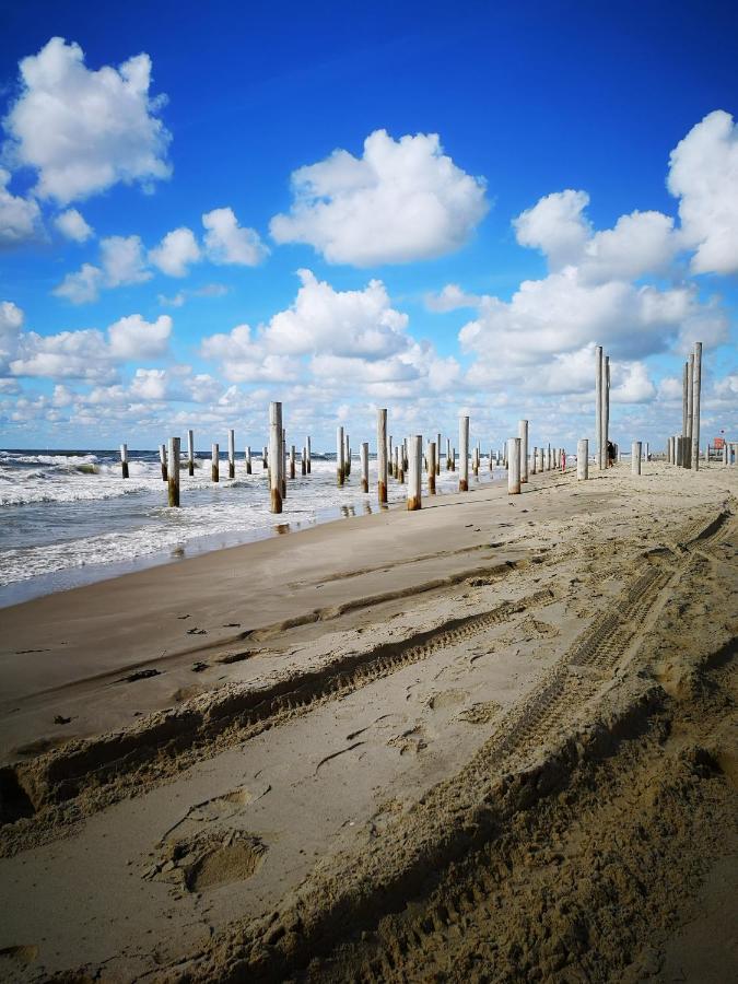 פטן Nieuw Strand מראה חיצוני תמונה