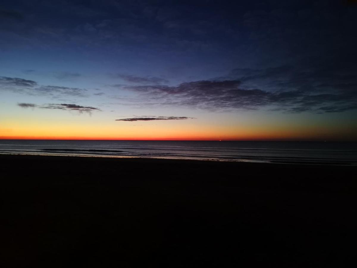 פטן Nieuw Strand מראה חיצוני תמונה