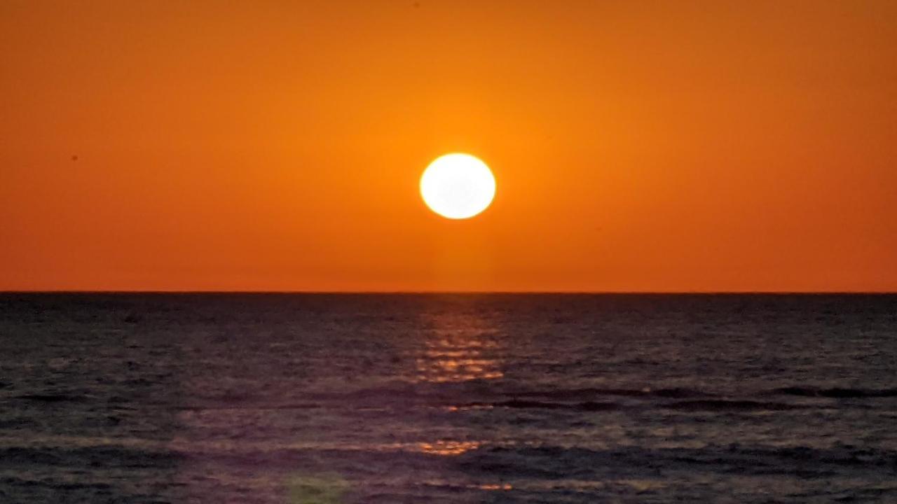 פטן Nieuw Strand מראה חיצוני תמונה